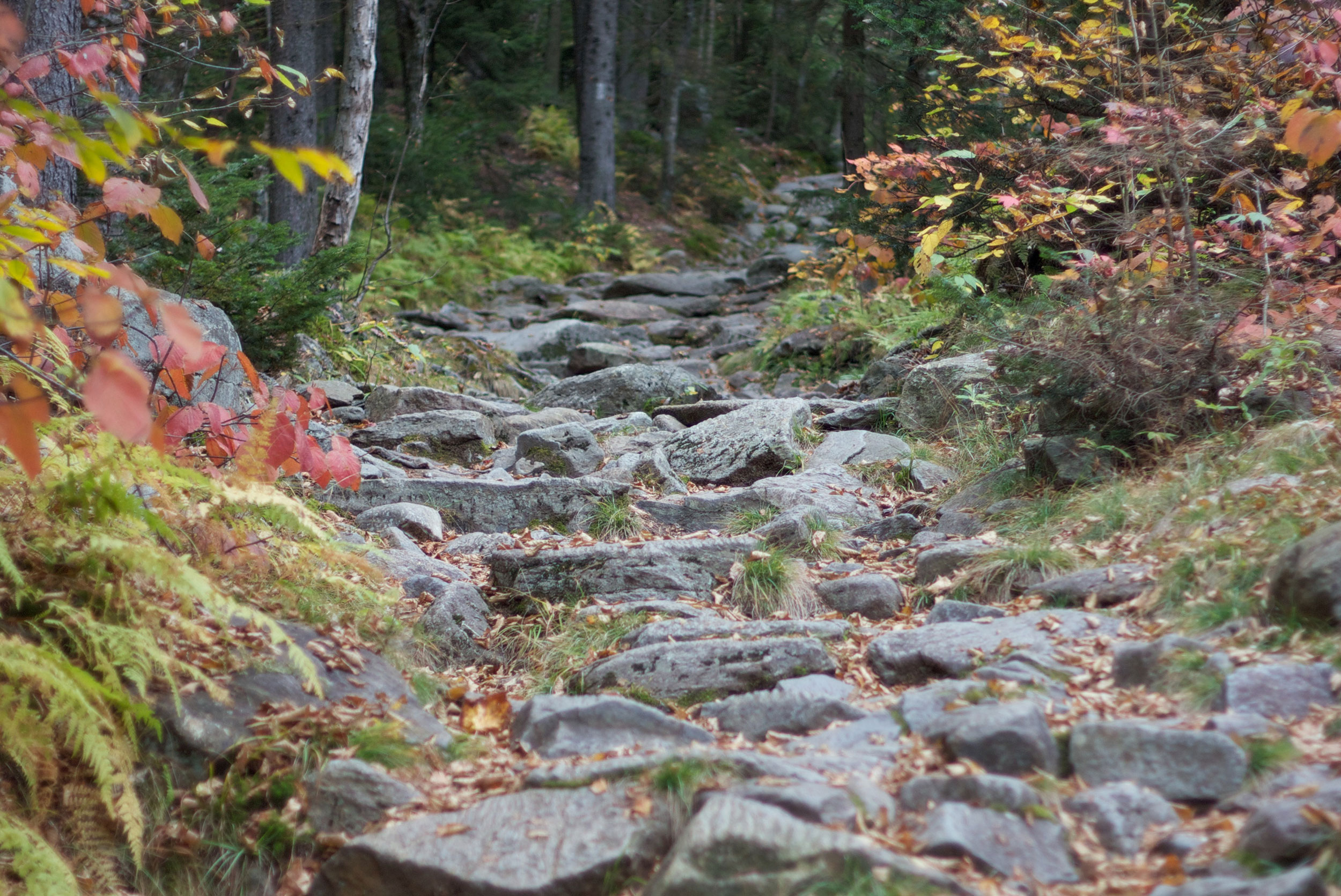 Univers 3 -Cybèle – Le chemin de la transparence